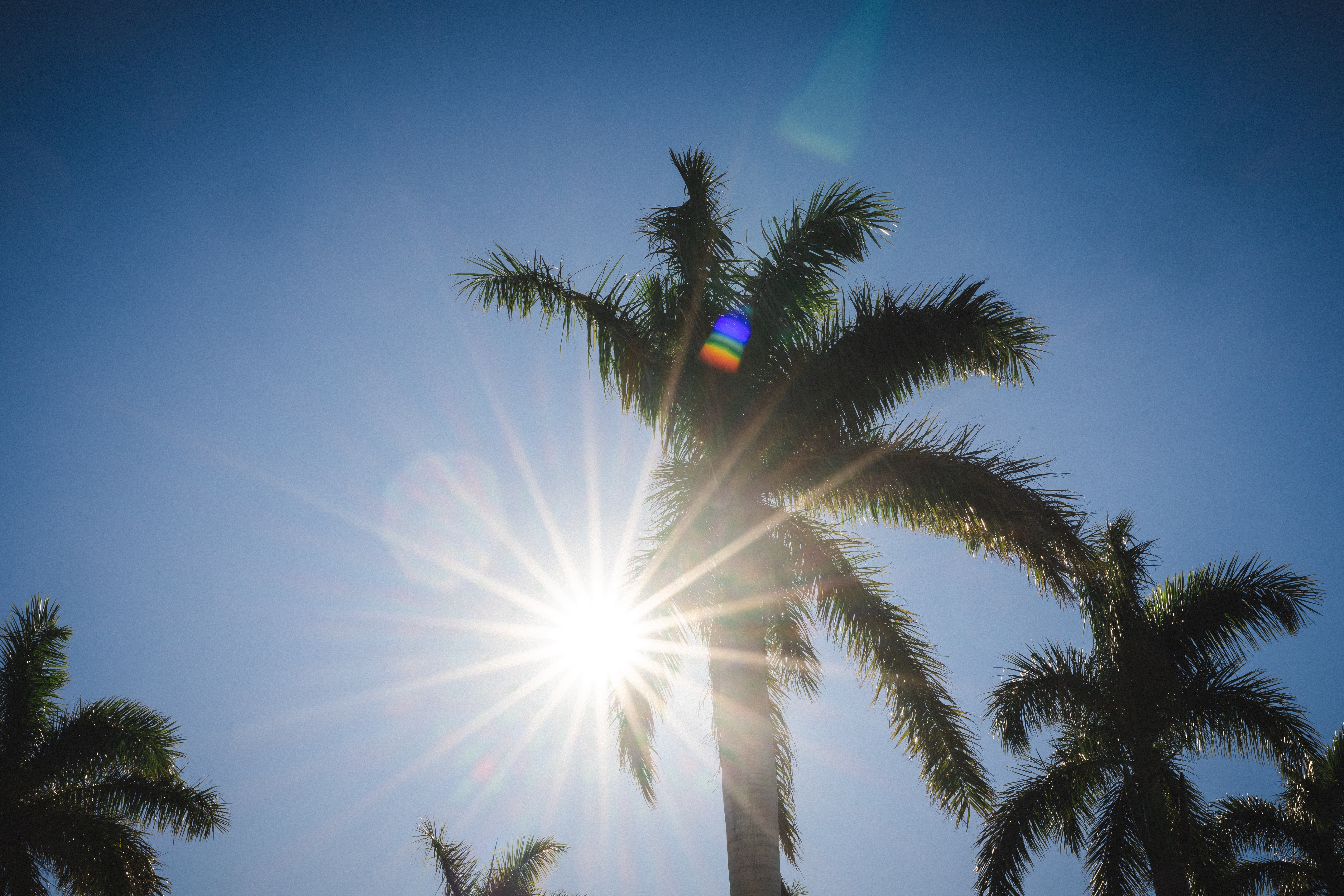 Sonne und Palmen beim Wintertrainingslager in Florida.