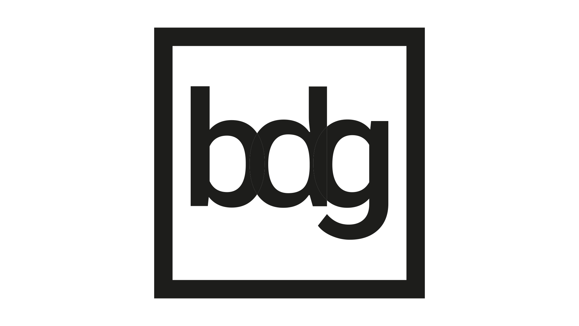 Logo Better Descion Group