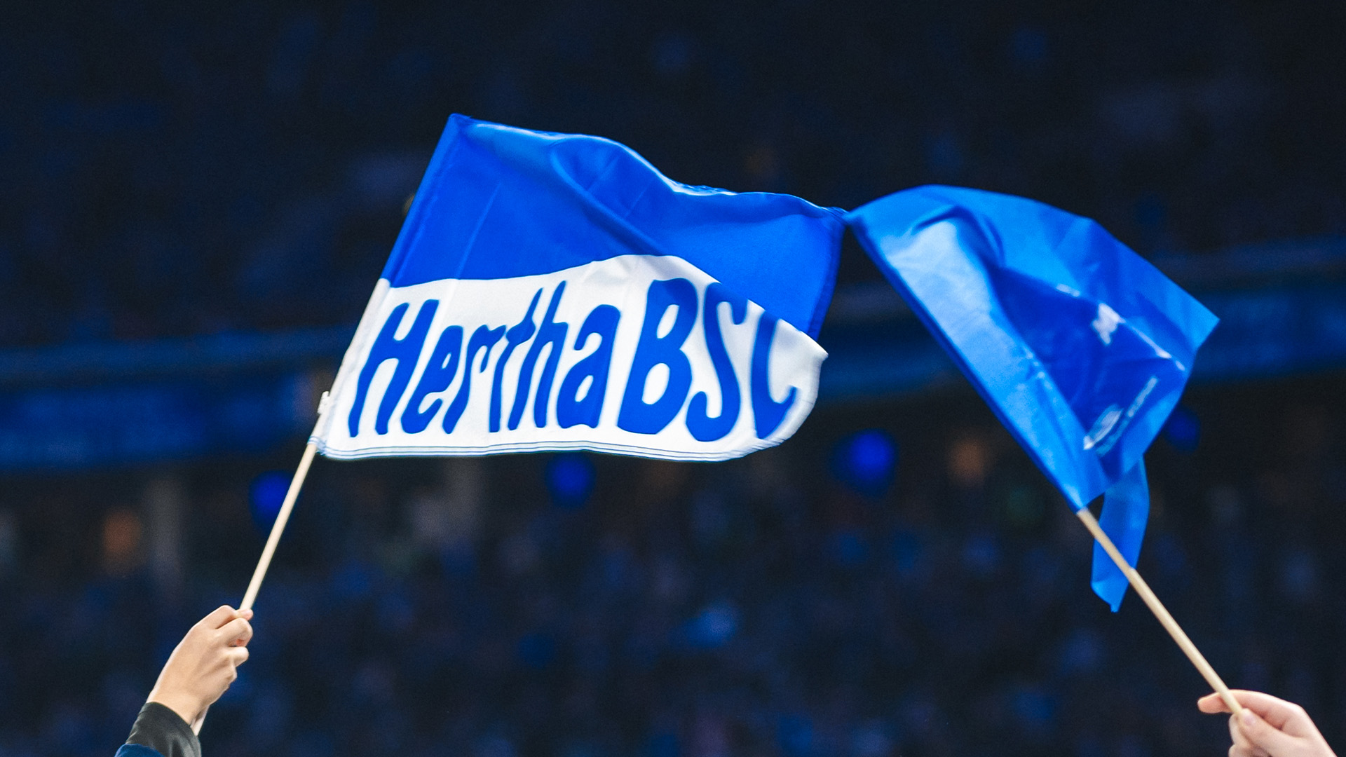 Mitgliedschaft Hertha BSC