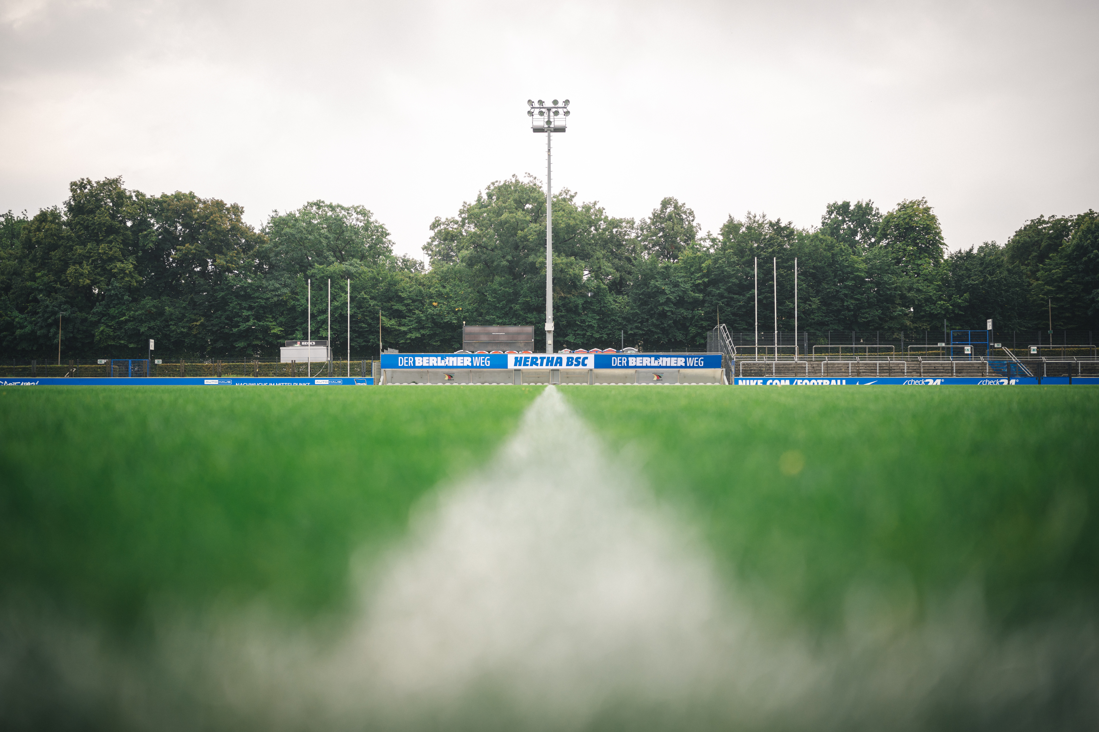 Das Spielfeld im Stadion auf dem Wurfplatz/Amateurstadion.