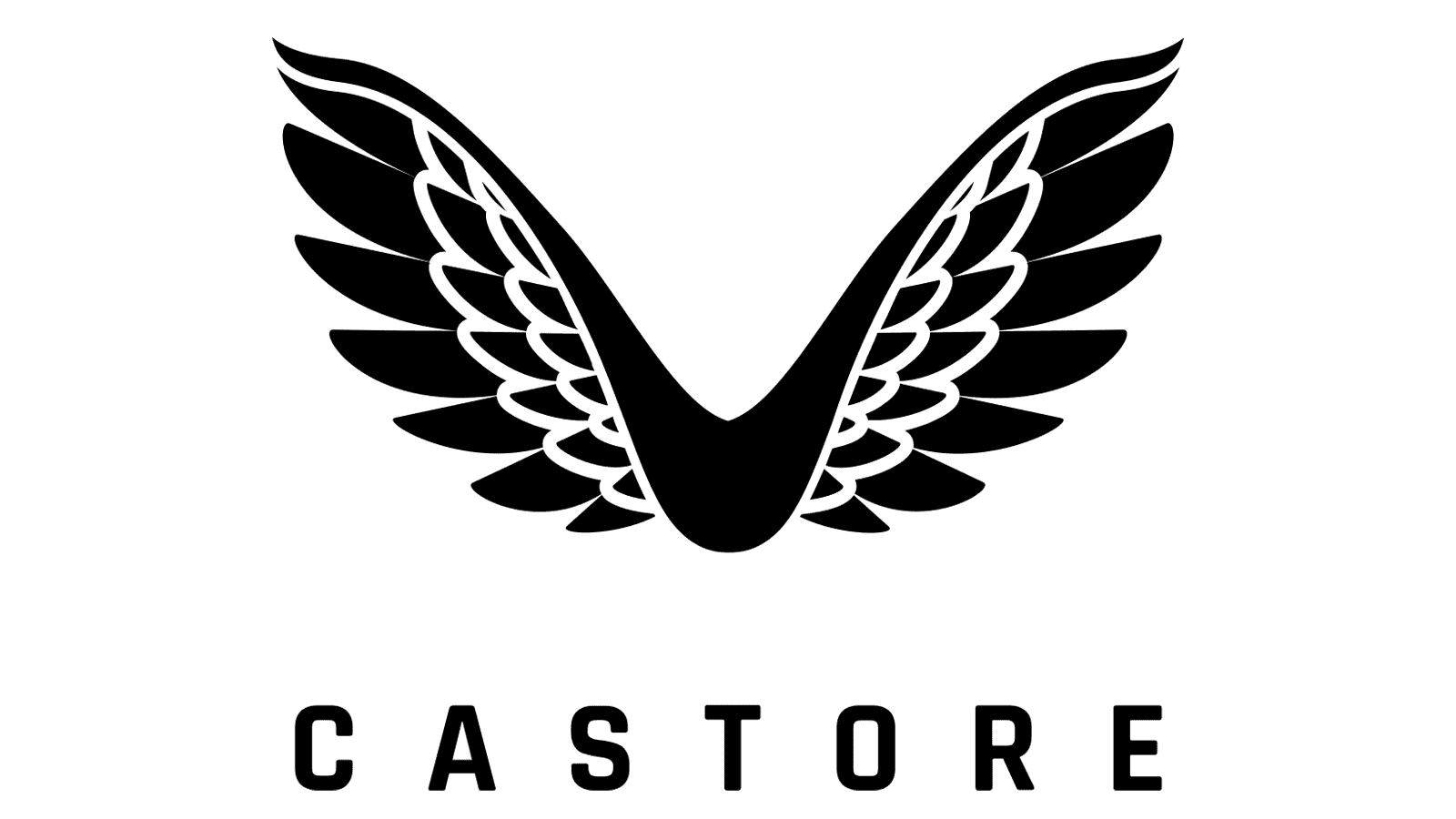Logo Castore