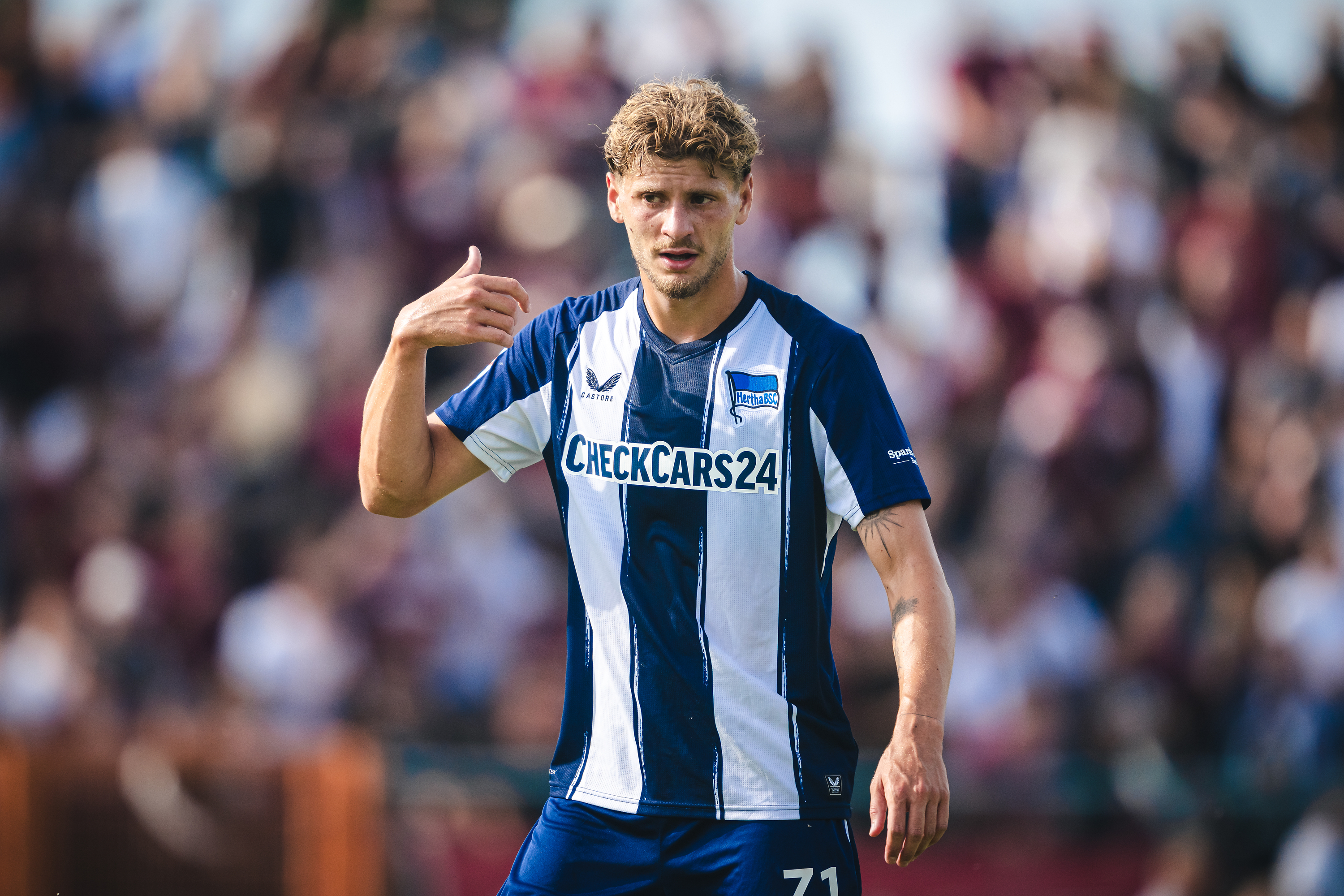 Márton Dárdai.