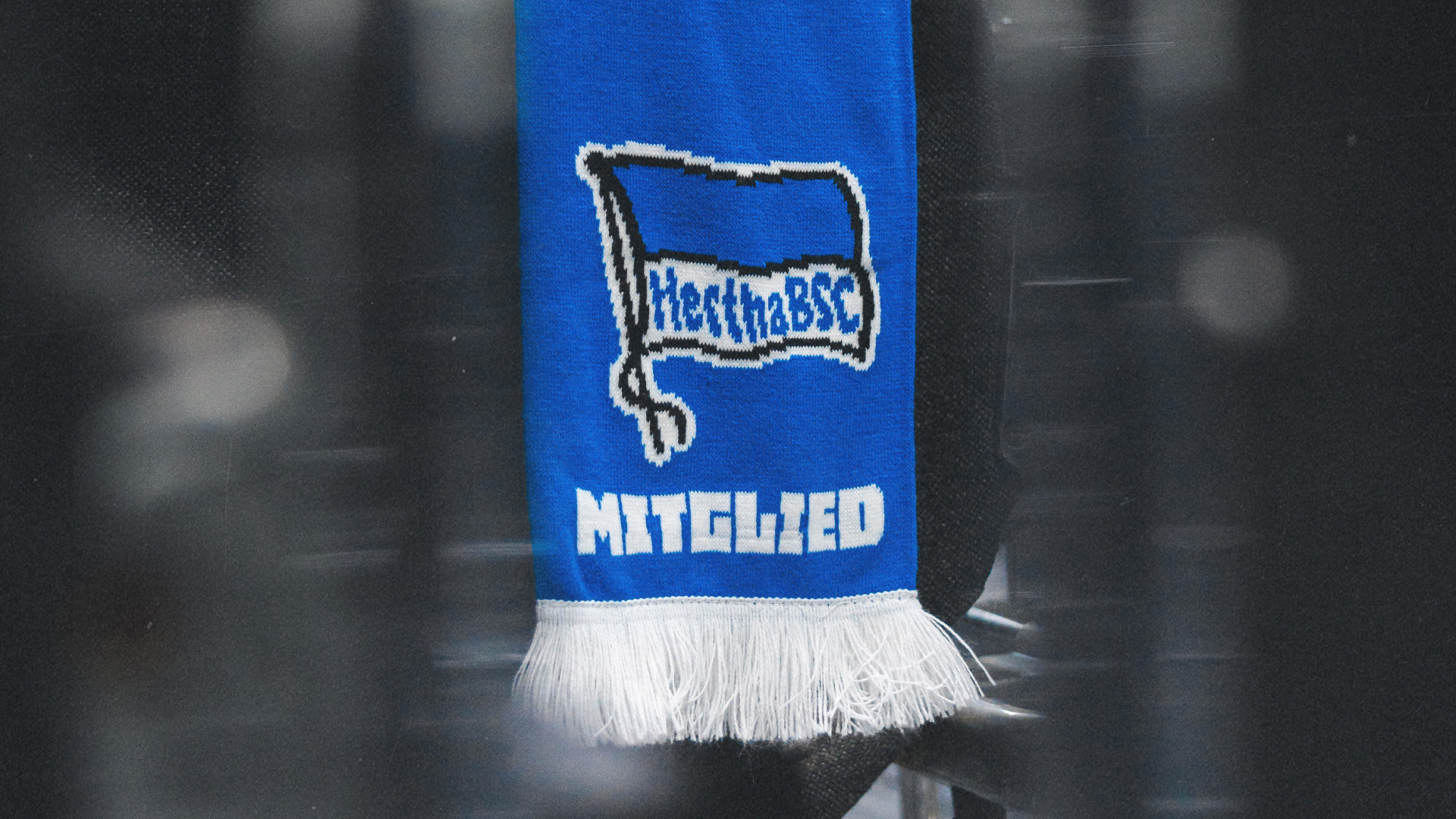 Der Mitgliederschal.