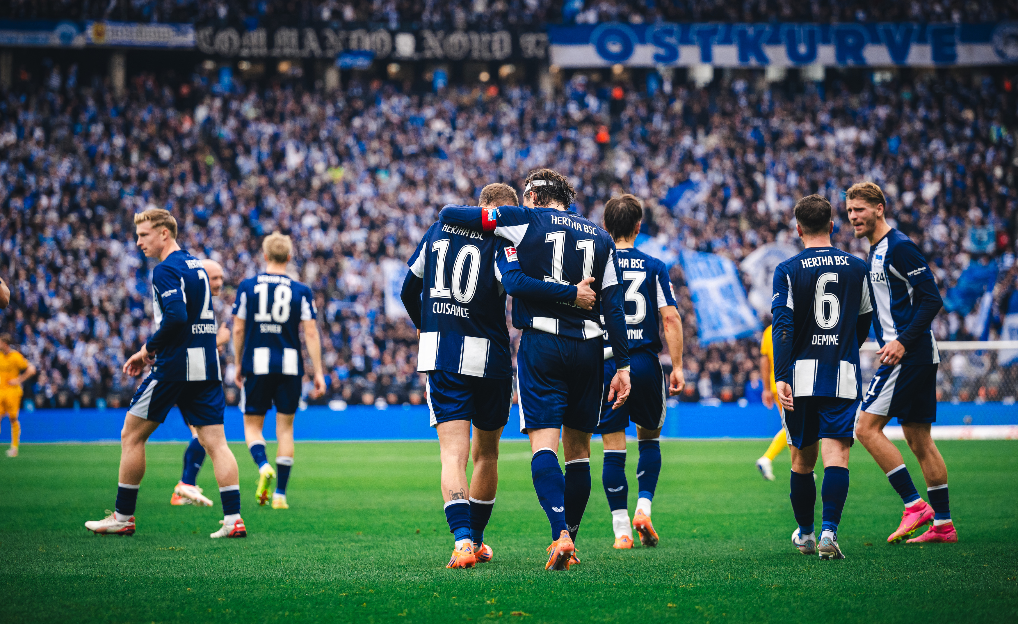 Unsere Herthaner bejubeln einen Treffer.