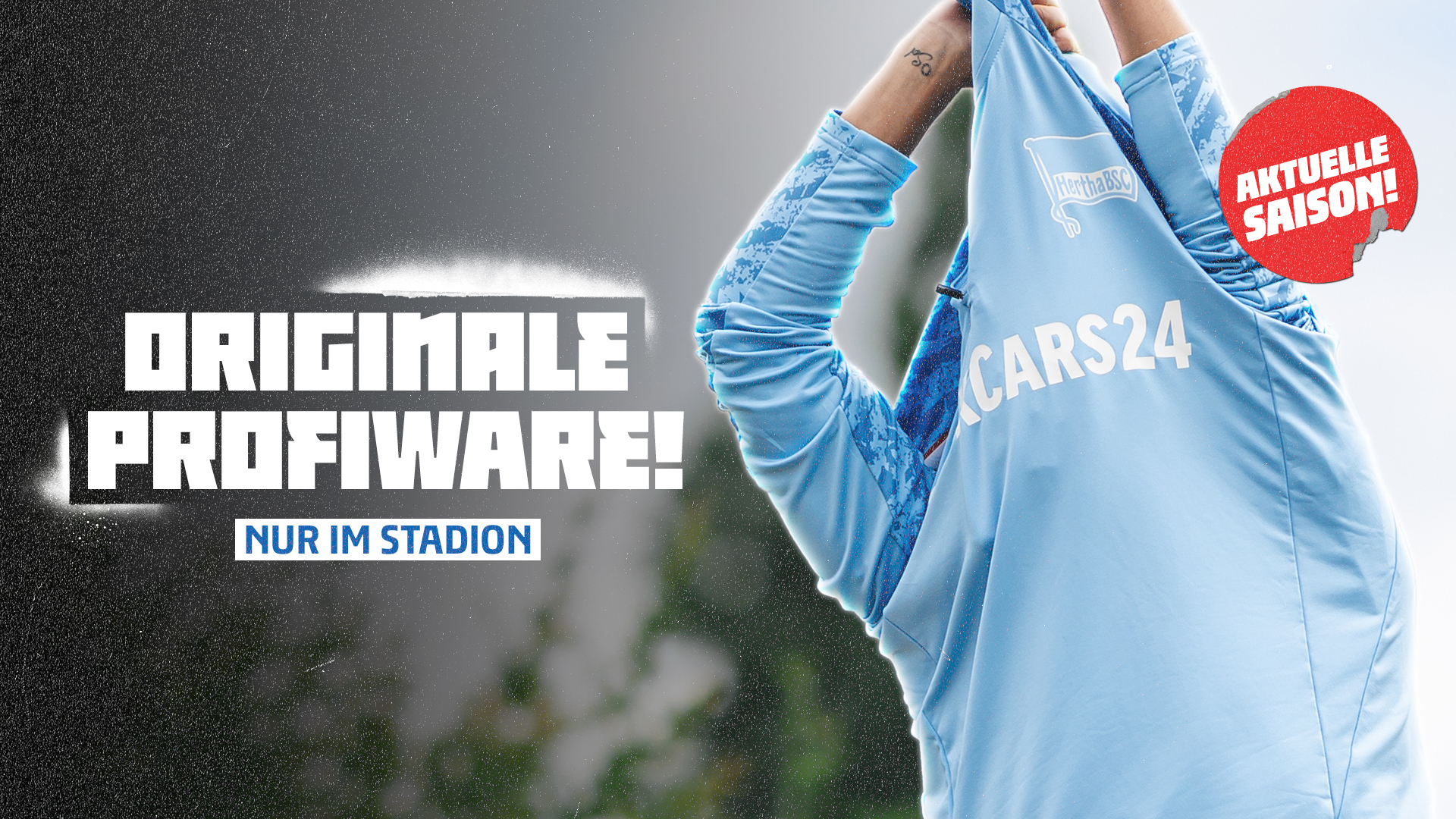 Grafik zur Profiware.