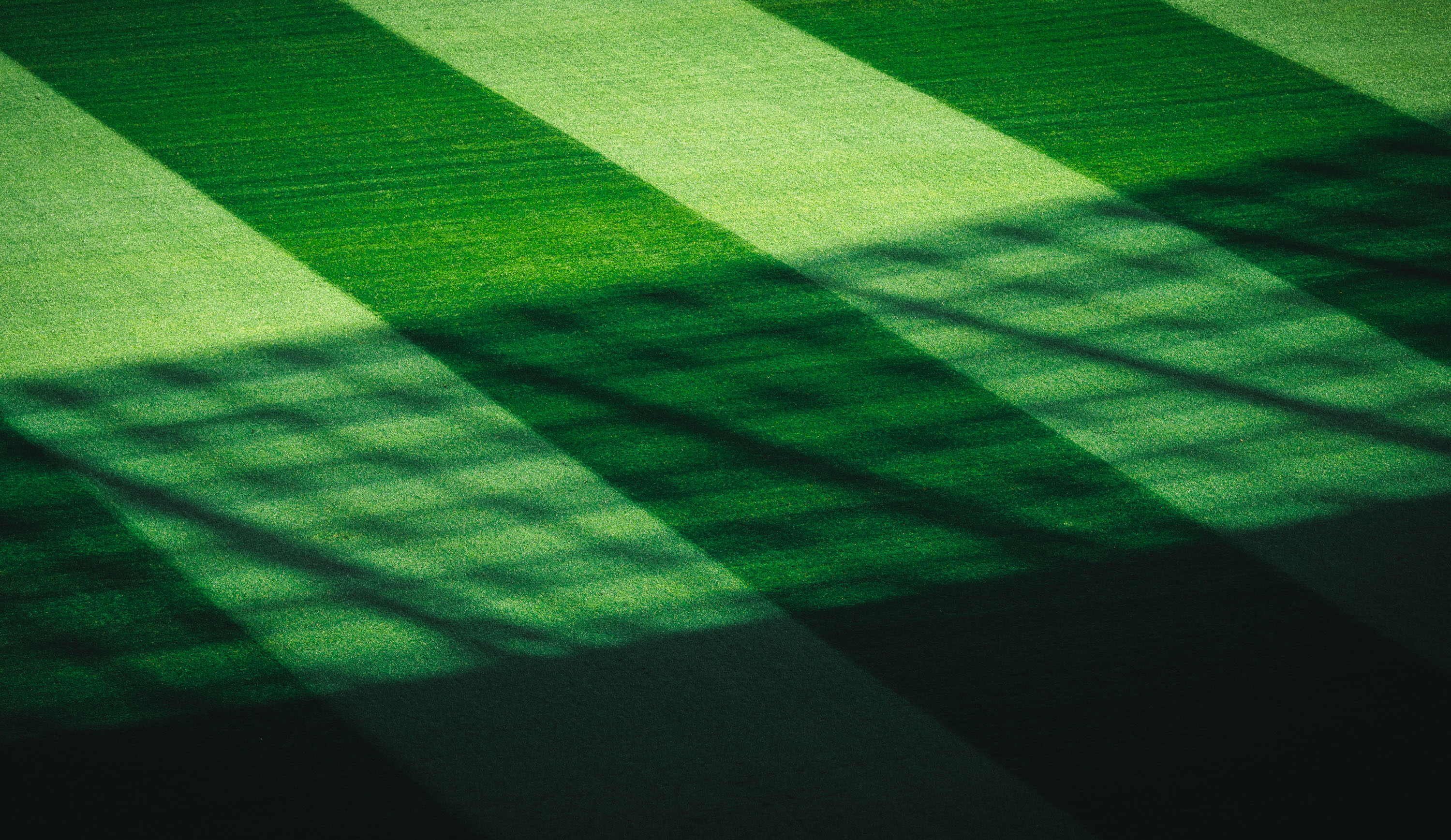 Rasenmuster im Olympiastadion.