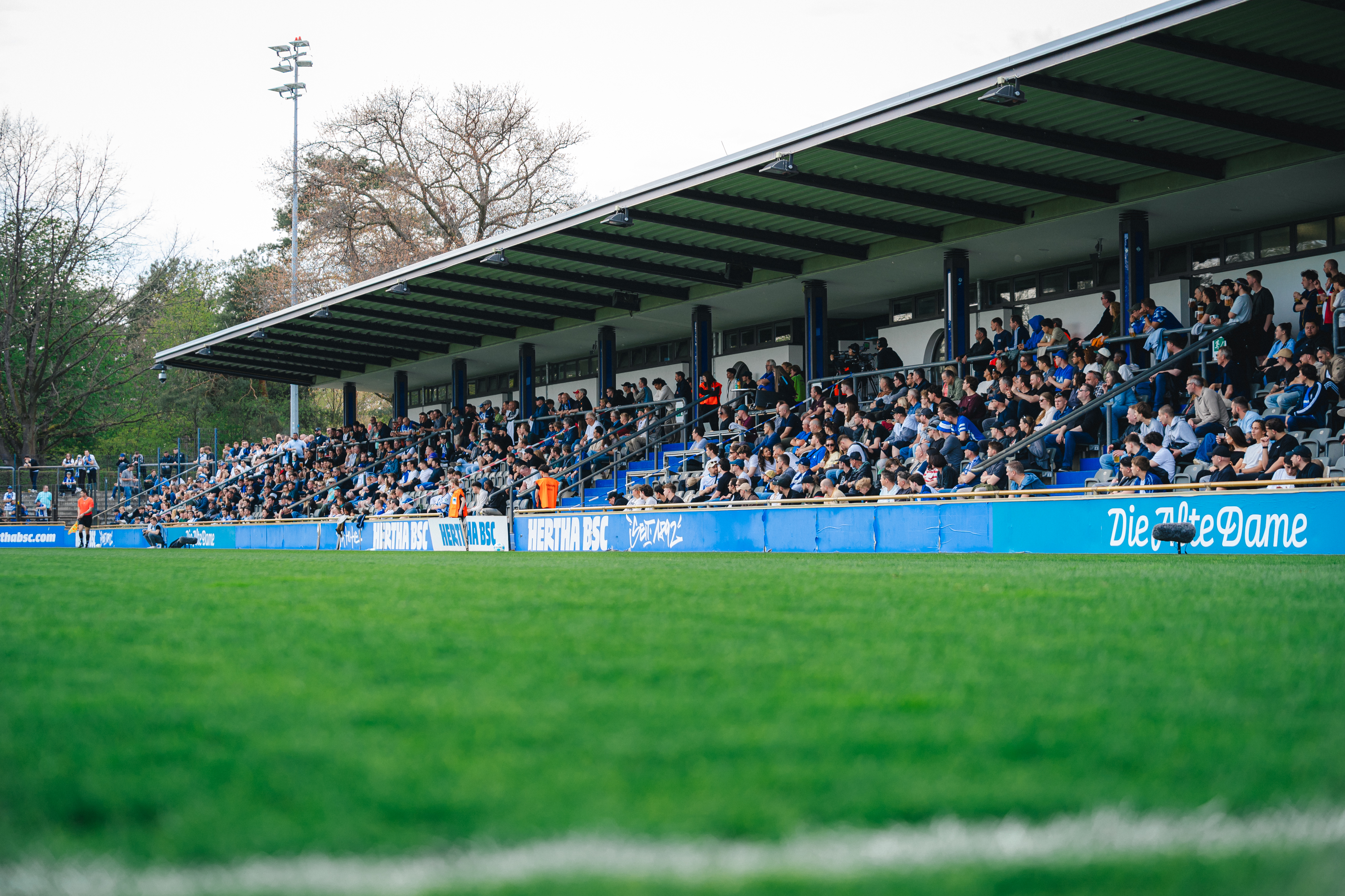 Die vollbesetzte Haupttribüne im Stadion auf dem Wurfplatz/Amateurstadion.