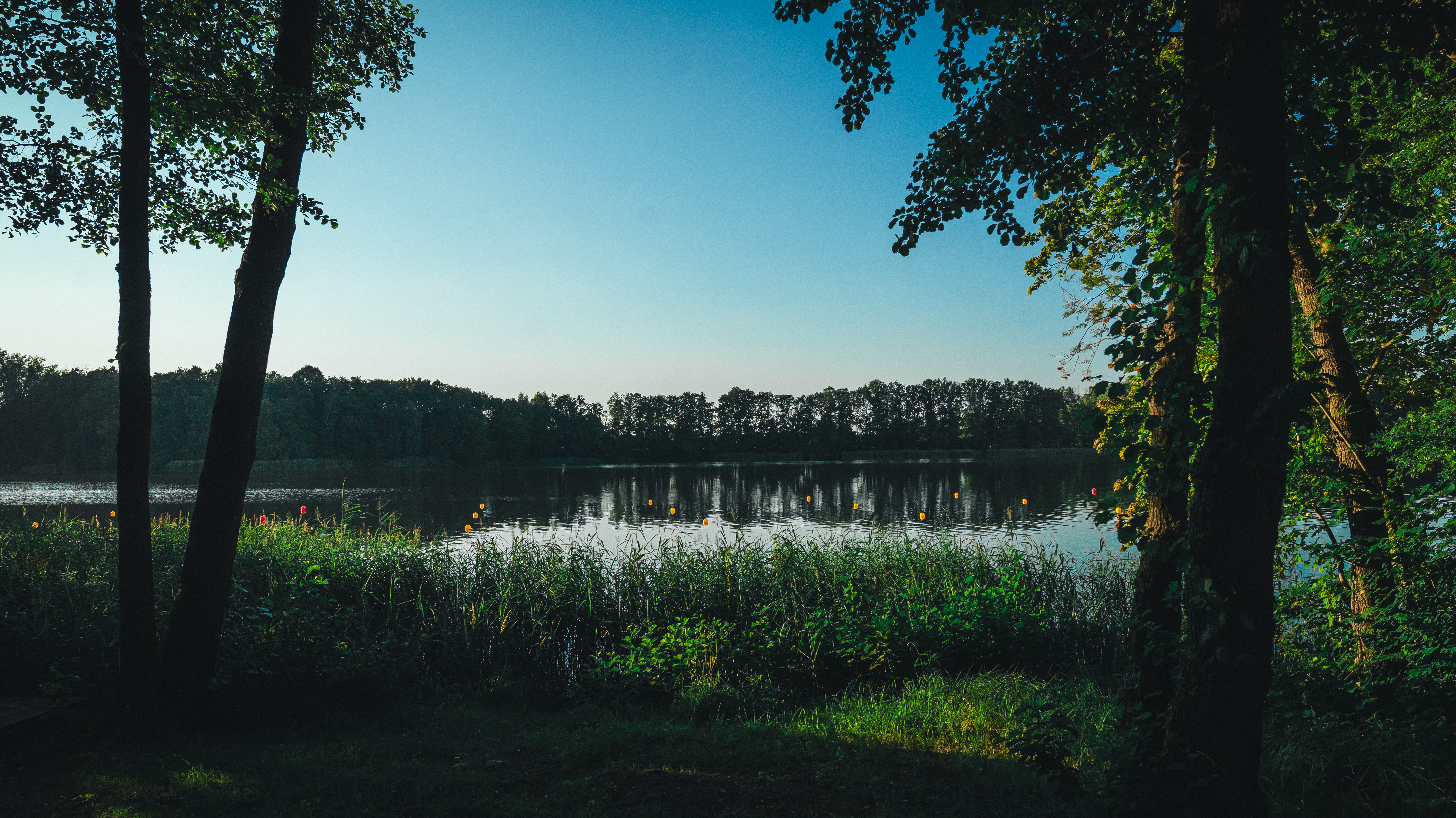 Der See im Olympiastützpunkt Kienbaum.