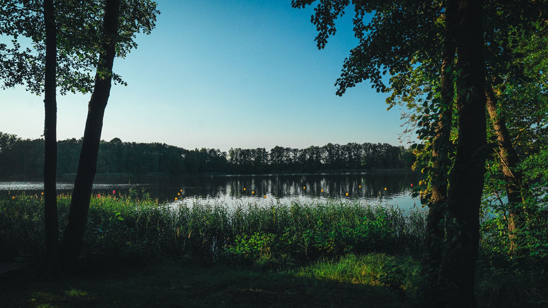 Der See im Olympiastützpunkt Kienbaum.