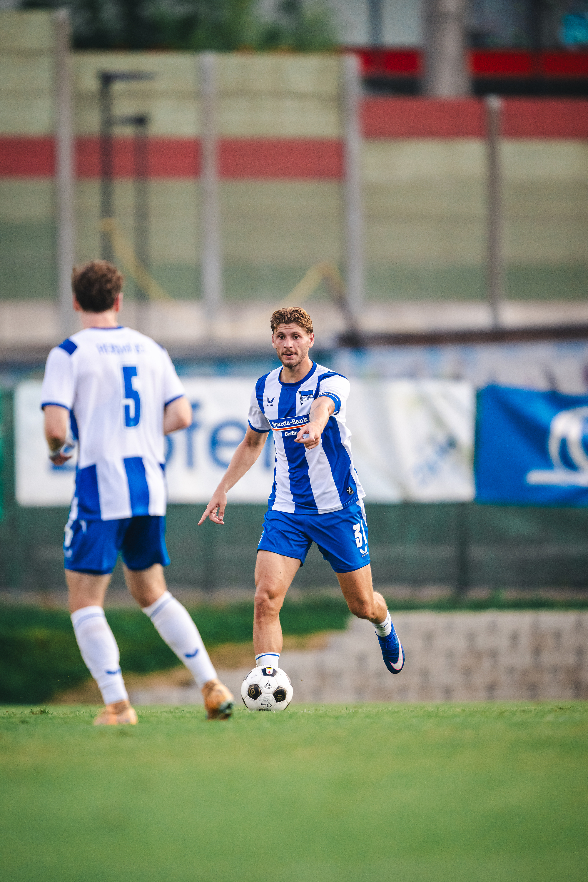 Márton Dárdai.