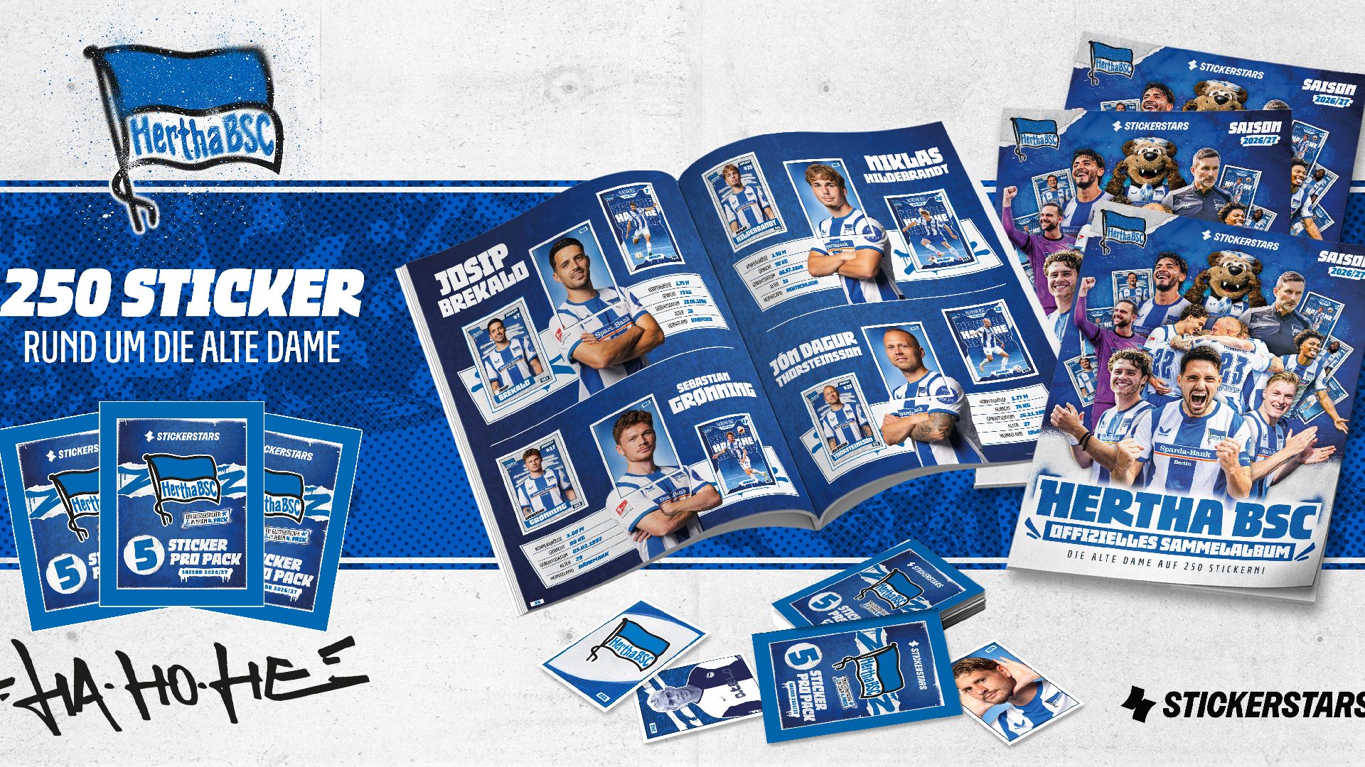 Die Grafik zum Sammelalbum mit Stickerstars.